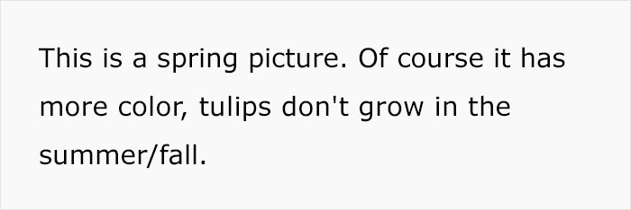 Master Gardener Defends Melania’s White House Garden Restoration, And They Might Change Your Opinion Master Gardener Defends Melania’s White House Garden Restoration, And They Might Change Your Opinion