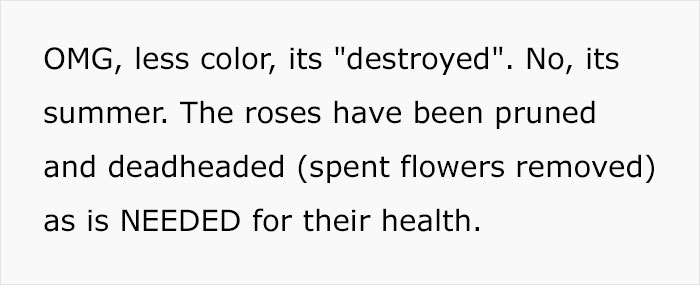 Master Gardener Defends Melania’s White House Garden Restoration, And They Might Change Your Opinion