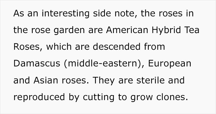 Master Gardener Defends Melania’s White House Garden Restoration, And They Might Change Your Opinion