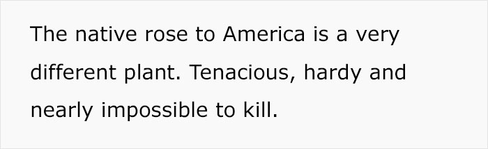 Master Gardener Defends Melania’s White House Garden Restoration, And They Might Change Your Opinion Master Gardener Defends Melania’s White House Garden Restoration, And They Might Change Your Opinion
