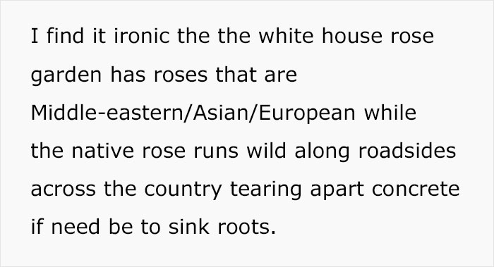 Master Gardener Defends Melania’s White House Garden Restoration, And They Might Change Your Opinion