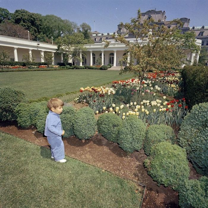 Master Gardener Defends Melania’s White House Garden Restoration, And They Might Change Your Opinion