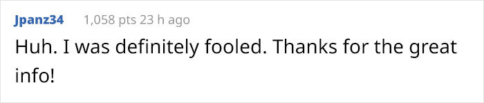 Master Gardener Defends Melania’s White House Garden Restoration, And They Might Change Your Opinion