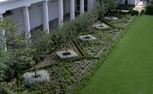 Master Gardener Defends Melania’s White House Garden Restoration, And They Might Change Your Opinion