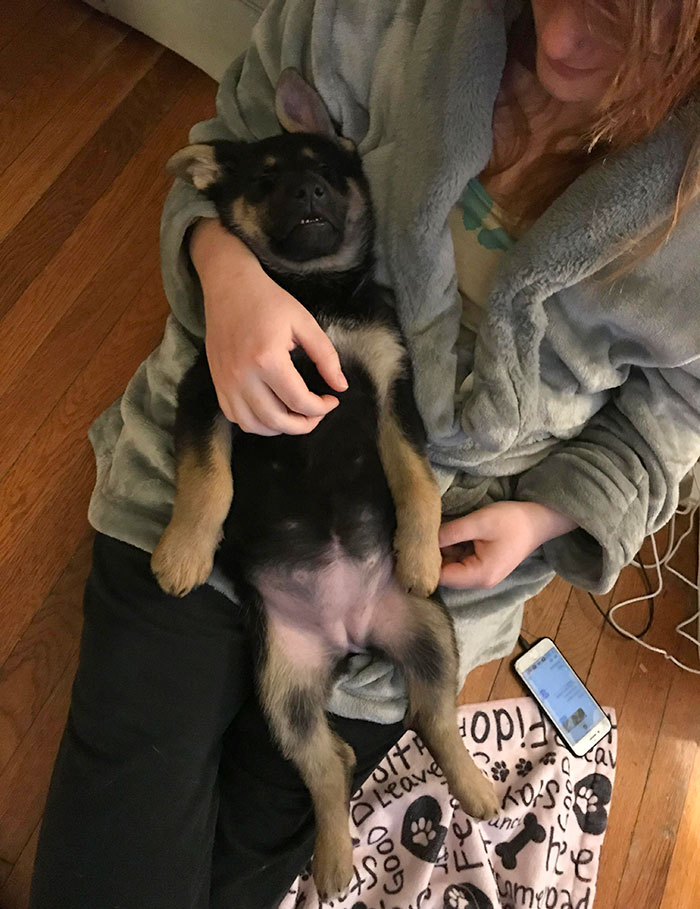 My Puppy Who Likes To Sleep Completely Straight