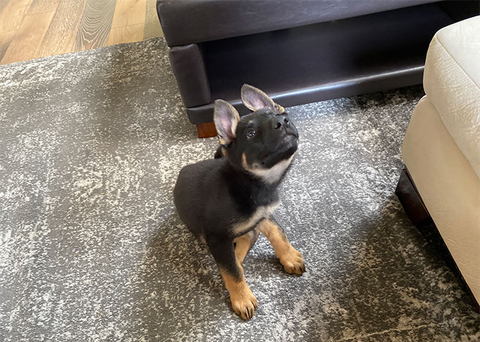 Satellite Reception Coming Soon