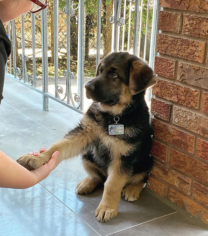 "It Was Nice To Meet You"