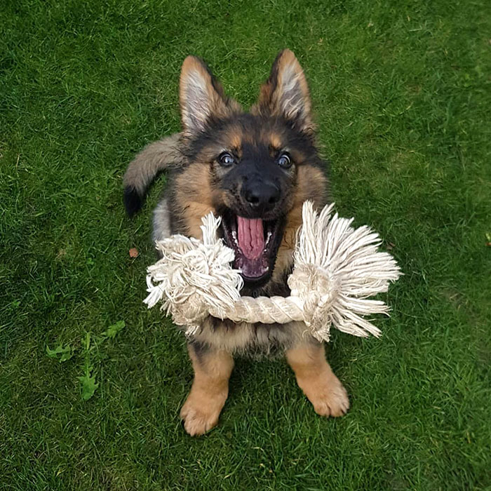 Born Ready To Catch This