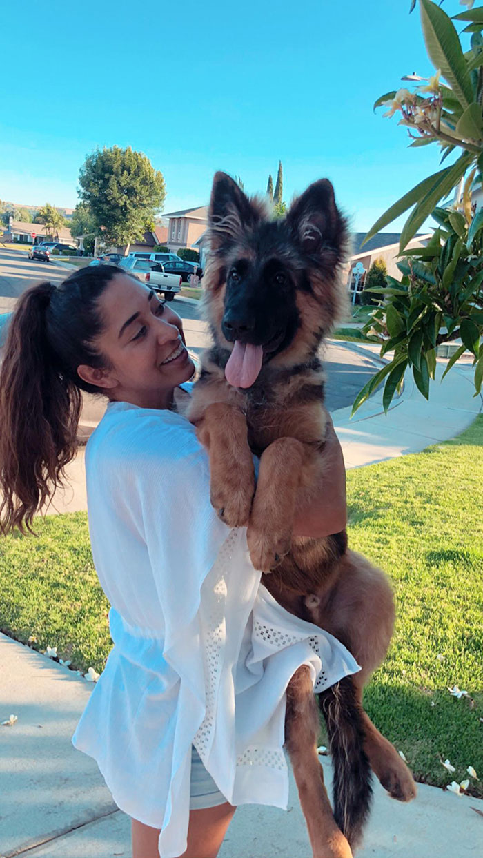 5 Months And 50 Lbs, I Am Going To Carry Him When He Is 70 Lbs Too!