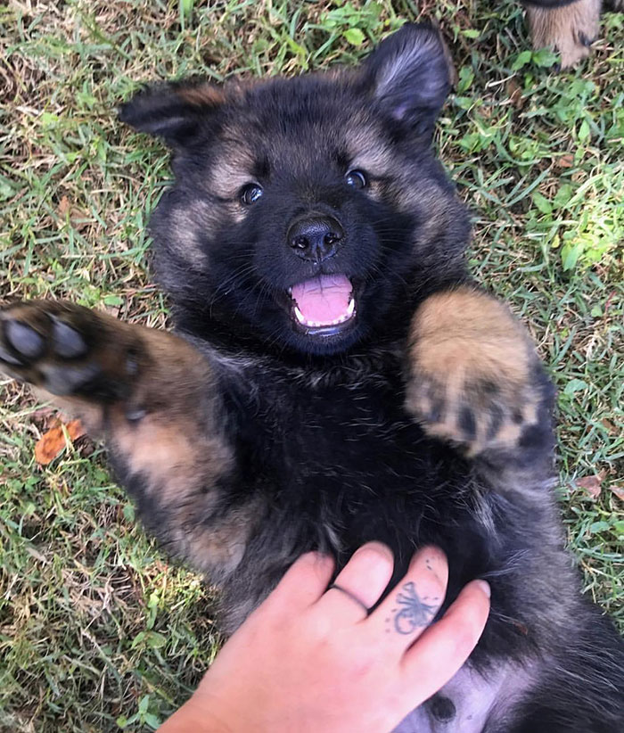 Throwback To My Adorable Fuzz Head