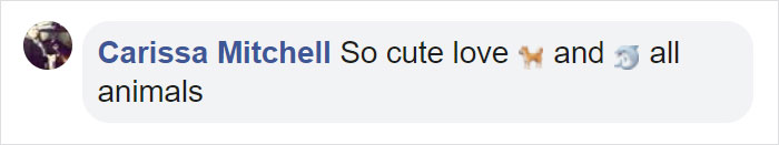 After A Video Chat With A Rescued Dolphin, This Golden Retriever Got A Chance To Meet Her In Real Life After A Video Chat With A Rescued Dolphin, This Golden Retriever Got A Chance To Meet Her In Real Life