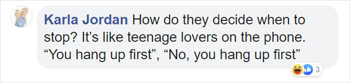 These 2 Wolves Went Viral For Being So Lazy That They Howl While Lying Down