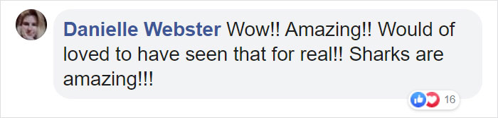 Great White Shark Jumps 15 Feet Through The Air As The Highest Ever Water Breach Is Recorded In South Africa Great White Shark Jumps 15 Feet Through The Air As The Highest Ever Water Breach Is Recorded In South Africa