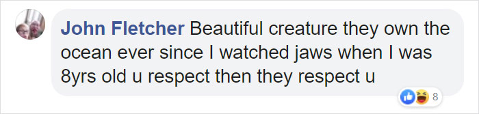 Great White Shark Jumps 15 Feet Through The Air As The Highest Ever Water Breach Is Recorded In South Africa