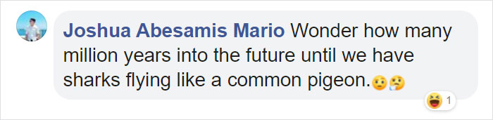 Great White Shark Jumps 15 Feet Through The Air As The Highest Ever Water Breach Is Recorded In South Africa