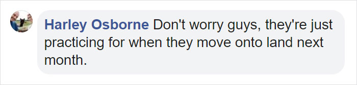 Great White Shark Jumps 15 Feet Through The Air As The Highest Ever Water Breach Is Recorded In South Africa Great White Shark Jumps 15 Feet Through The Air As The Highest Ever Water Breach Is Recorded In South Africa
