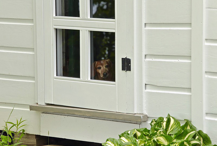 30 Postal Workers On Reddit Reveal The Things They Wish Customers Did