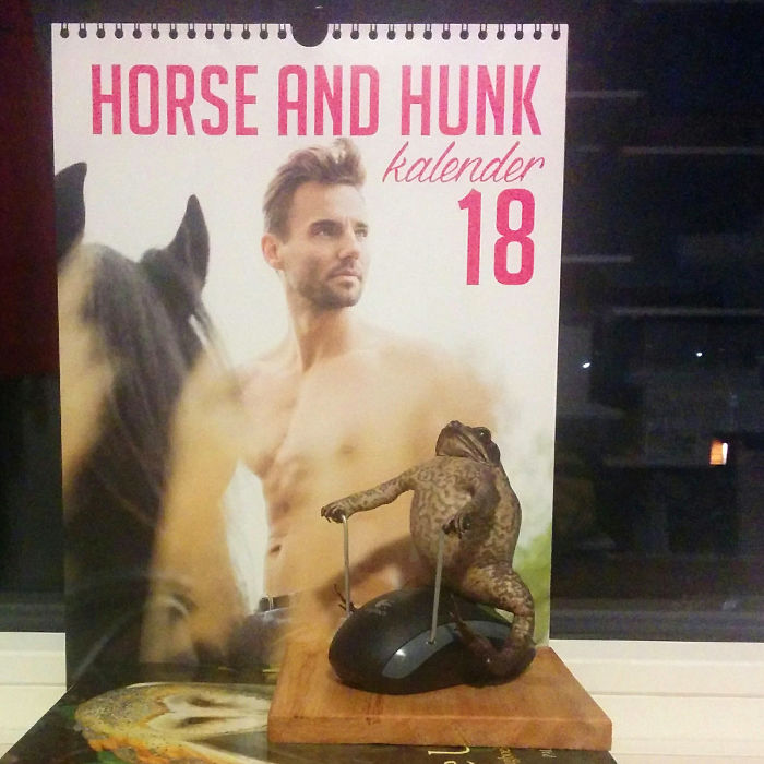 Stuffed Toad Mounted On A Computer Mouse...