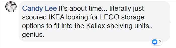 See IKEA's First Genius Collaboration With LEGO