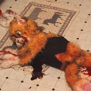 will_leslie_6 avatar