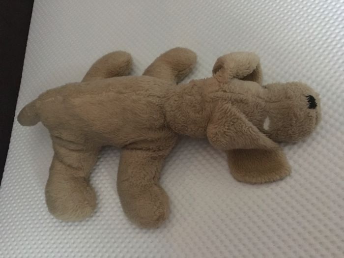 Meet Ruff, We Met On Christmas Eve 1977 And Have Been Best Friends Since