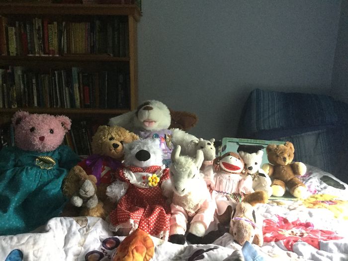 In Order From Front To Back: Sparkles, Joy, Susan, Lana, Chippy, Teddy, Rosalina, Melanie, Billy, James, And Daisy