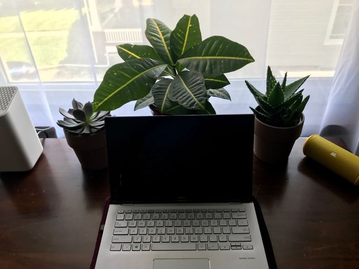 Moved Across Country To Start School Remotely. These Are Giving Me A Little Hope To Get Me By