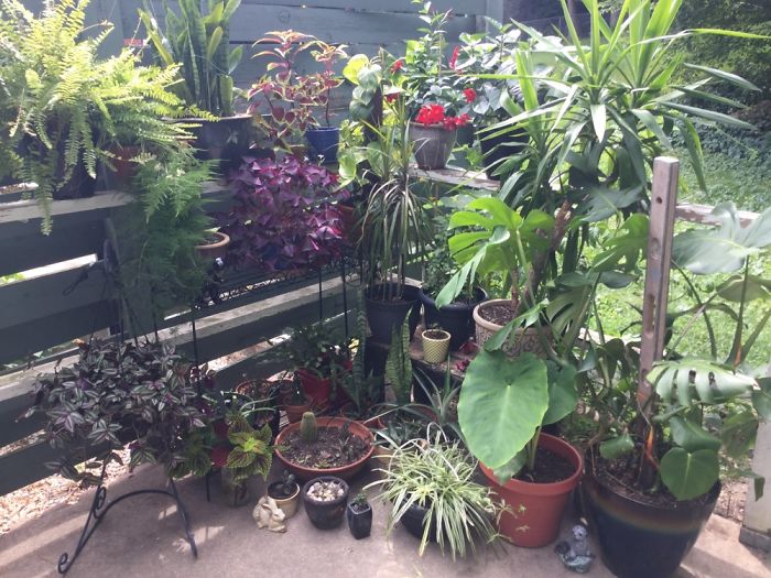 Wisconsin Summer School Class Photo. Soaking In The Sun And Rain While We Can!