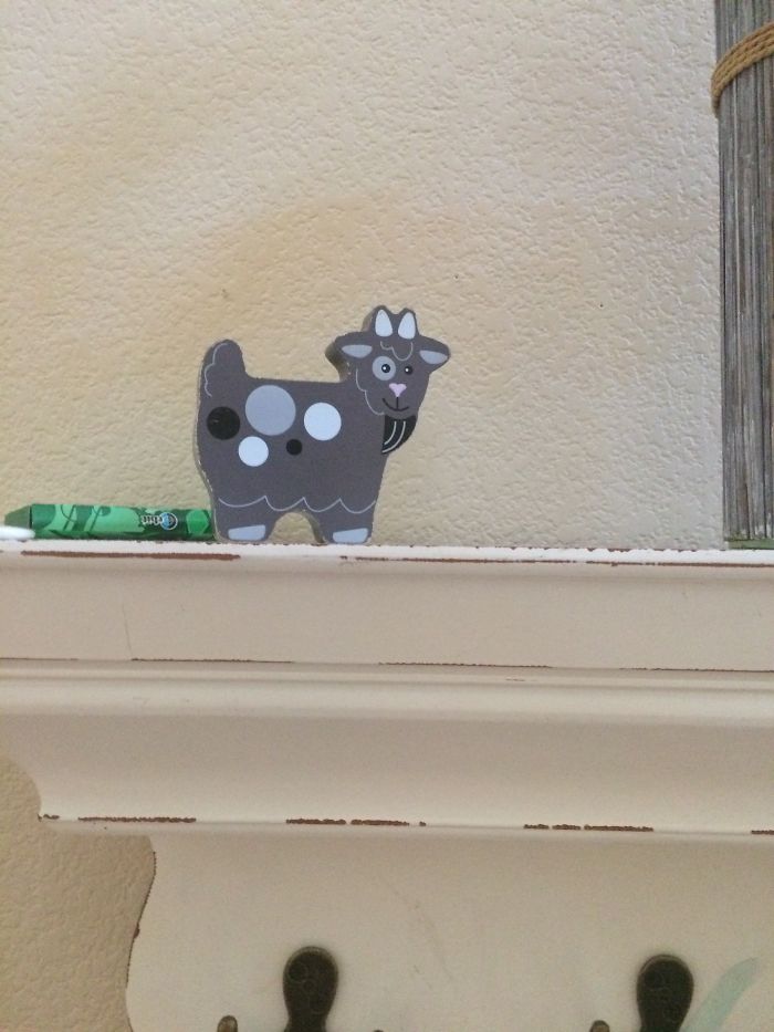 No One Knows What It Goes To Or How I Got There🤷🏽‍♀️