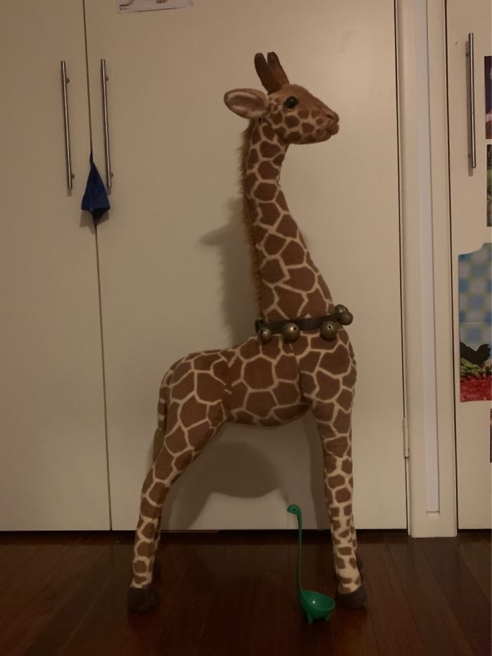 This Giant Giraffe ( Dinosaur Soup Ladle For Scale )