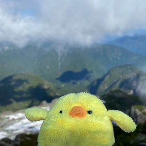 henryhalliday avatar