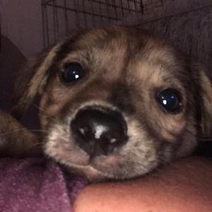 fleming_marcus avatar