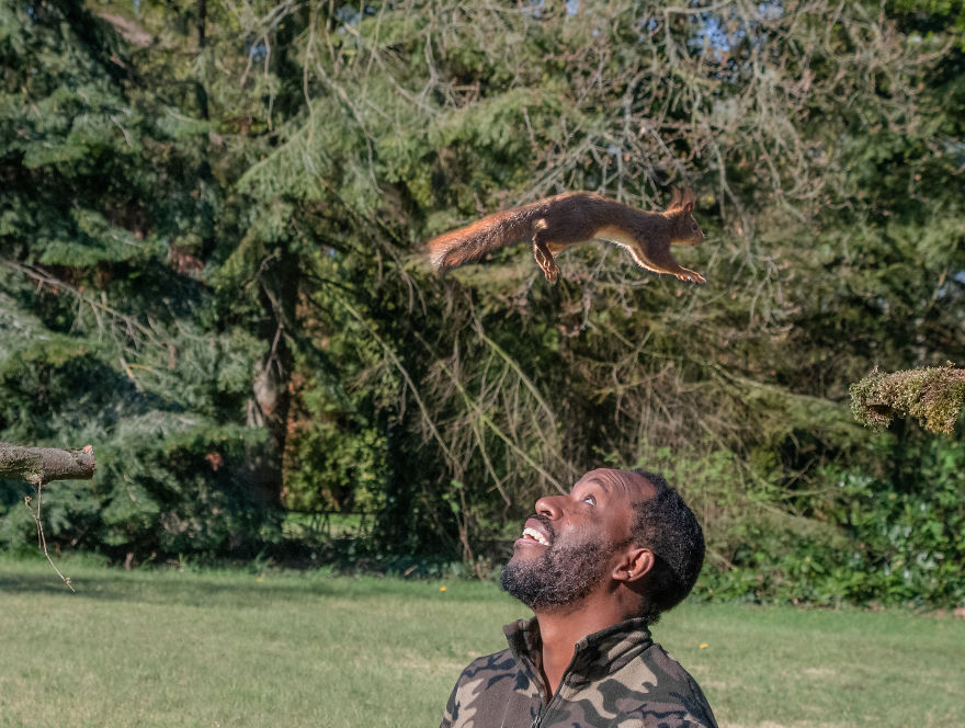 To Spread Some Joy, I Photograph Squirrels Playing In My Garden To Spread Some Joy, I Photograph Squirrels Playing In My Garden