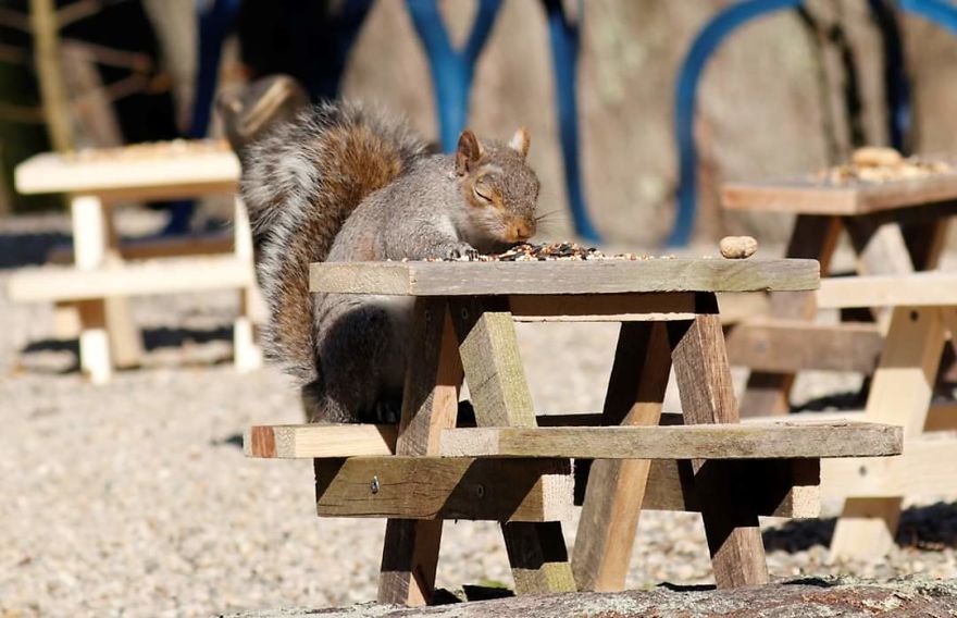 Rosie's Cafe' Rosie's Cafe'