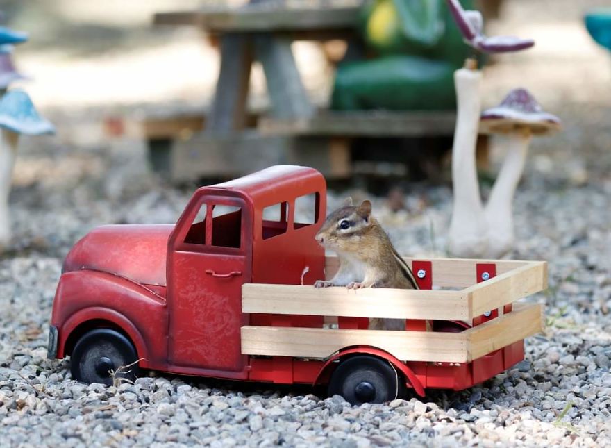 Rosie's Cafe' Rosie's Cafe'