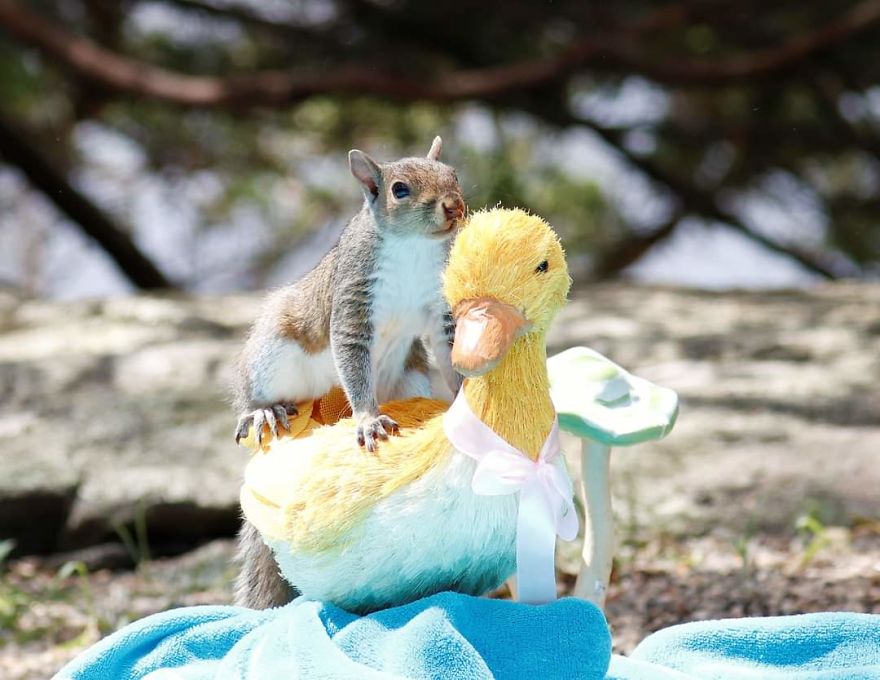 Rosie's Cafe' Rosie's Cafe'