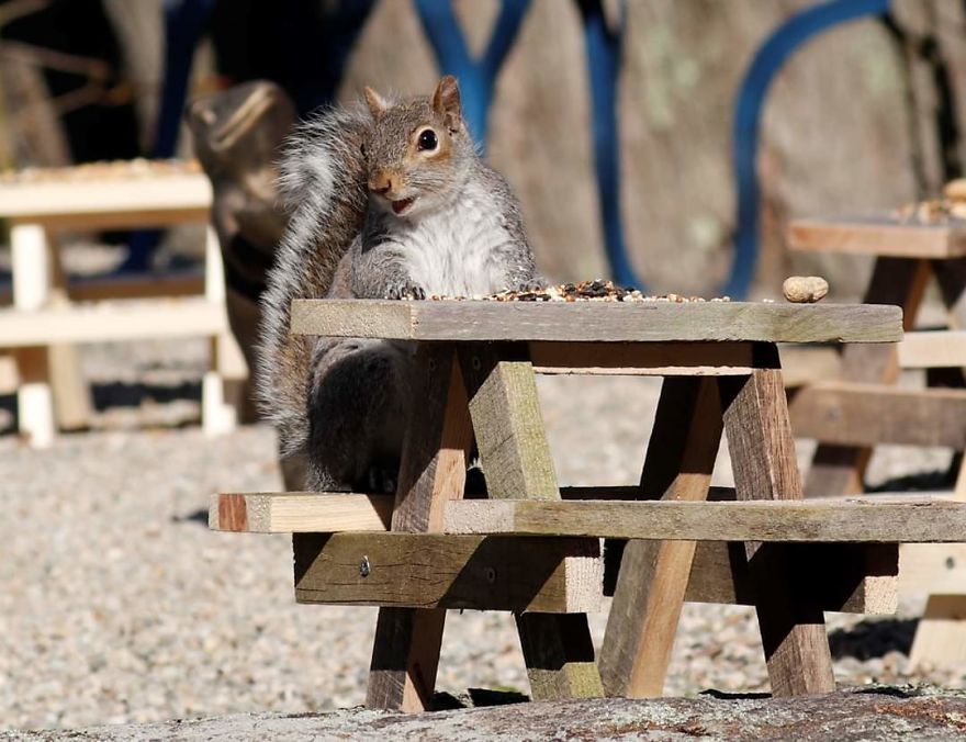 Rosie's Cafe' Rosie's Cafe'