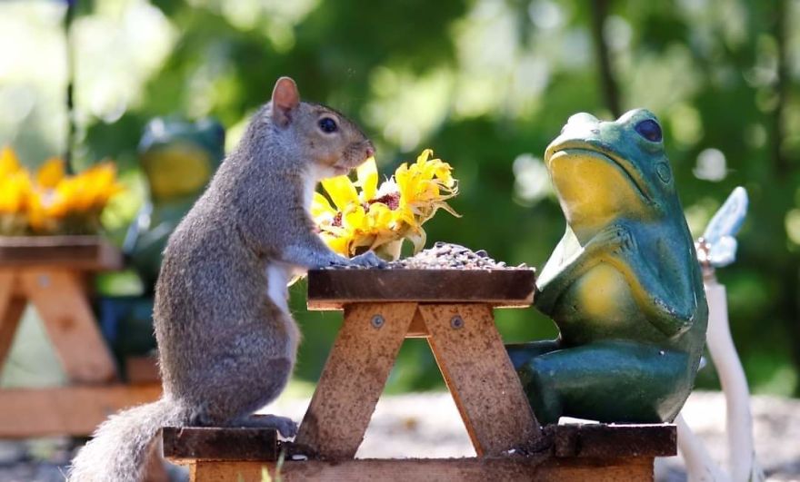 Rosie's Cafe' Rosie's Cafe'