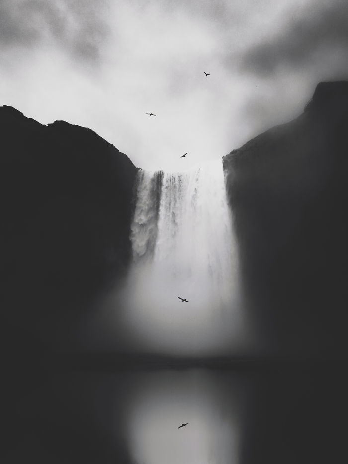 Nature: First Place, 'Untitled', By Lisi Li