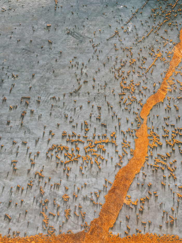 Abstract: First Place, 'Splattered Paint', Shanghai, China By Tu Odnu