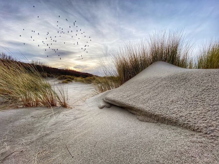 Landscape: Second Place, 'Duned', Zeeland, Netherlands By Nico Brons