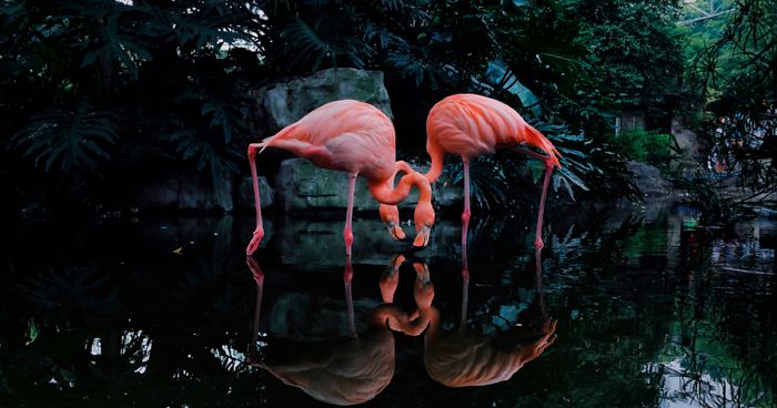 2020 iPhone Photography Award Winners Once Again Proved That Striking Photos Can Be Taken Without An Expensive Camera (45 Pics)