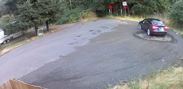 Cruel Owner Leads Tail-Wagging Senior Labrador Into The Woods, Abandons Him, And Drives Off In Her Tesla Cruel Owner Leads Tail-Wagging Senior Labrador Into The Woods, Abandons Him, And Drives Off In Her Tesla