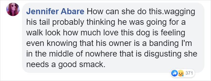 Cruel Owner Leads Tail-Wagging Senior Labrador Into The Woods, Abandons Him, And Drives Off In Her Tesla