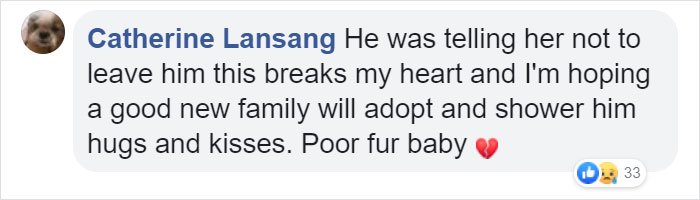 Cruel Owner Leads Tail-Wagging Senior Labrador Into The Woods, Abandons Him, And Drives Off In Her Tesla Cruel Owner Leads Tail-Wagging Senior Labrador Into The Woods, Abandons Him, And Drives Off In Her Tesla
