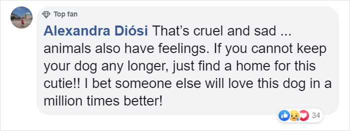 Cruel Owner Leads Tail-Wagging Senior Labrador Into The Woods, Abandons Him, And Drives Off In Her Tesla Cruel Owner Leads Tail-Wagging Senior Labrador Into The Woods, Abandons Him, And Drives Off In Her Tesla