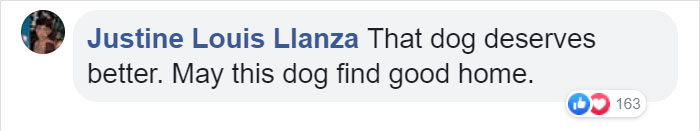 Cruel Owner Leads Tail-Wagging Senior Labrador Into The Woods, Abandons Him, And Drives Off In Her Tesla Cruel Owner Leads Tail-Wagging Senior Labrador Into The Woods, Abandons Him, And Drives Off In Her Tesla