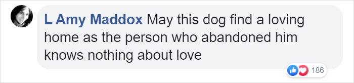 Cruel Owner Leads Tail-Wagging Senior Labrador Into The Woods, Abandons Him, And Drives Off In Her Tesla Cruel Owner Leads Tail-Wagging Senior Labrador Into The Woods, Abandons Him, And Drives Off In Her Tesla