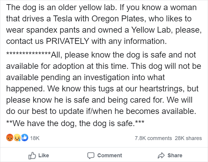Cruel Owner Leads Tail-Wagging Senior Labrador Into The Woods, Abandons Him, And Drives Off In Her Tesla Cruel Owner Leads Tail-Wagging Senior Labrador Into The Woods, Abandons Him, And Drives Off In Her Tesla
