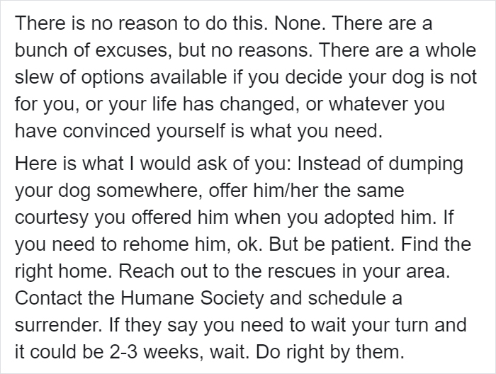 Cruel Owner Leads Tail-Wagging Senior Labrador Into The Woods, Abandons Him, And Drives Off In Her Tesla